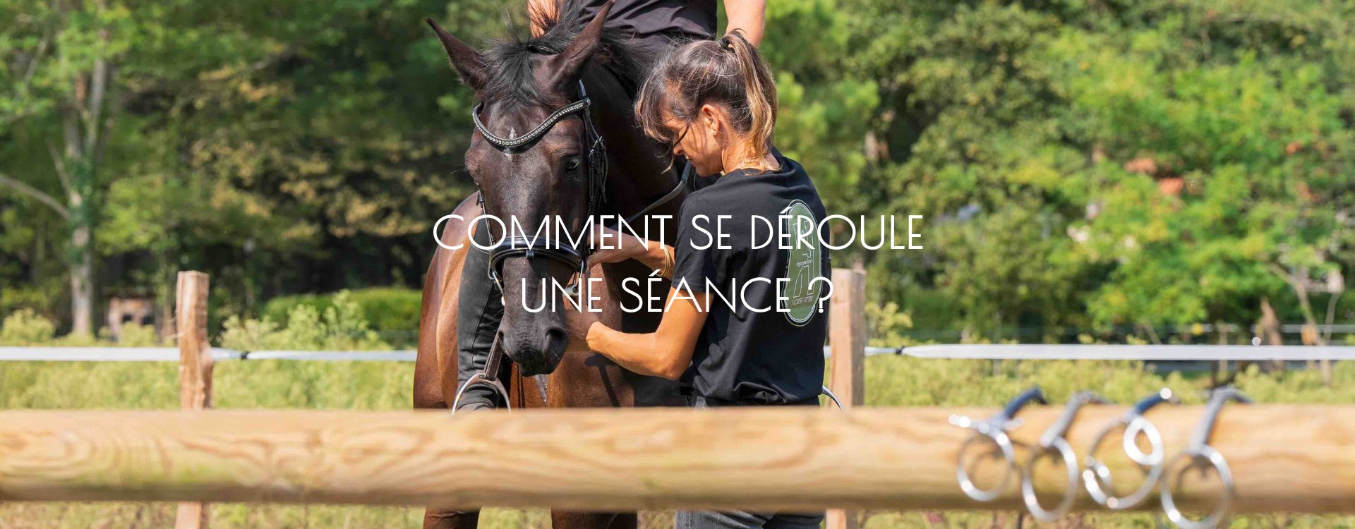 Bit fitting, bridle fitting ergonomie équine Nouvelle Aquitaine sud ouest équitation performance bien être confort cheval ergonome filet bridon 2