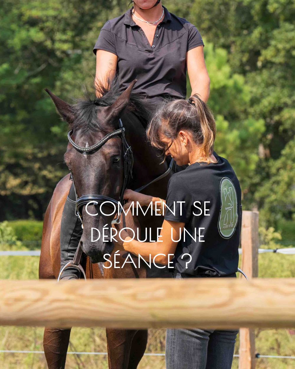 Bit fitting, bridle fitting ergonomie équine Nouvelle Aquitaine sud ouest équitation performance bien être confort cheval ergonome filet bridon 2-mobile
