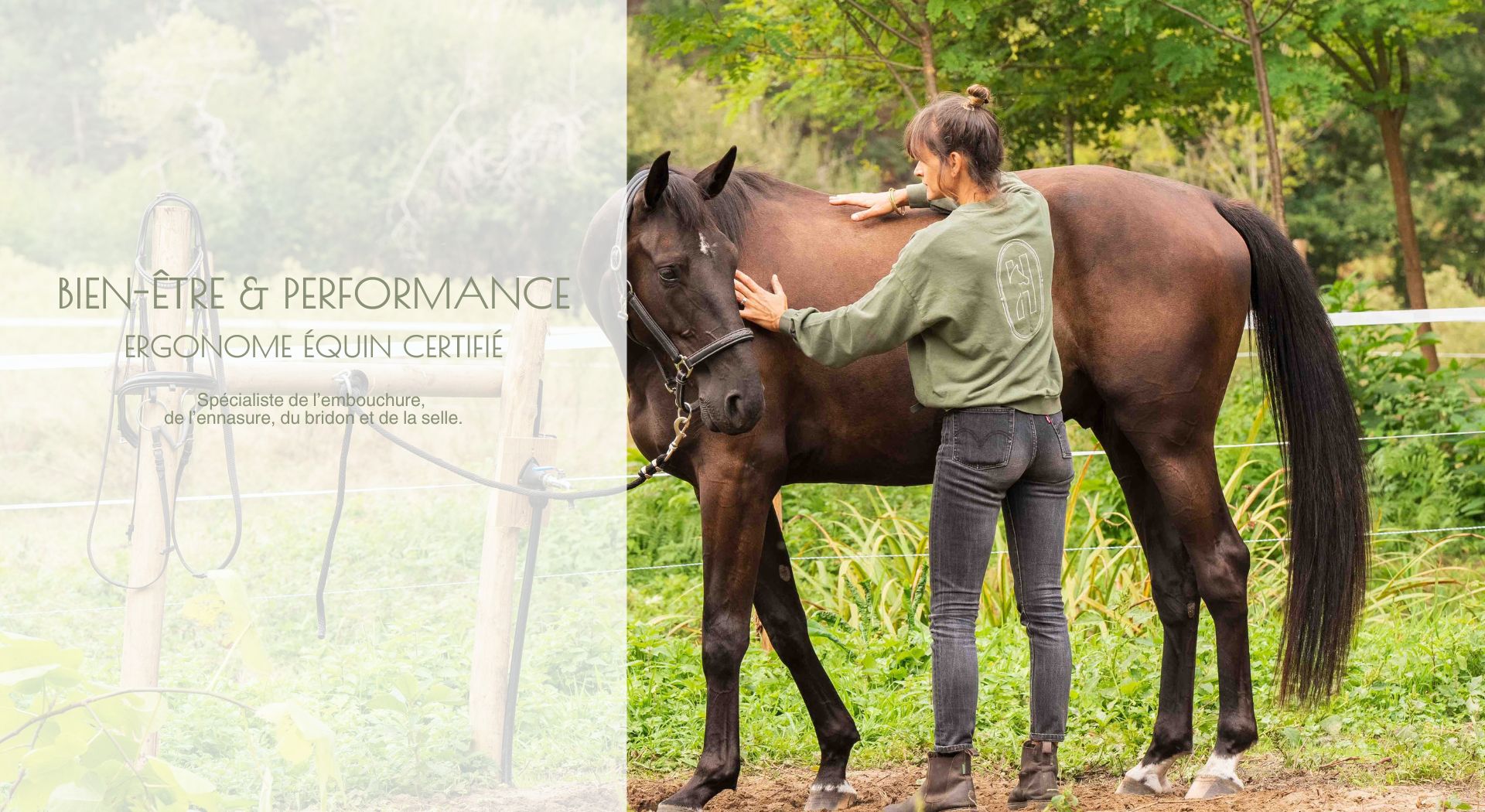 Bit fitting, bridle fitting, saddle fitting, érgonome équin certifié ergonomie équine Nouvelle Aquitaine sud ouest équitation performance bien être confort cheval ergonome filet bridon 1