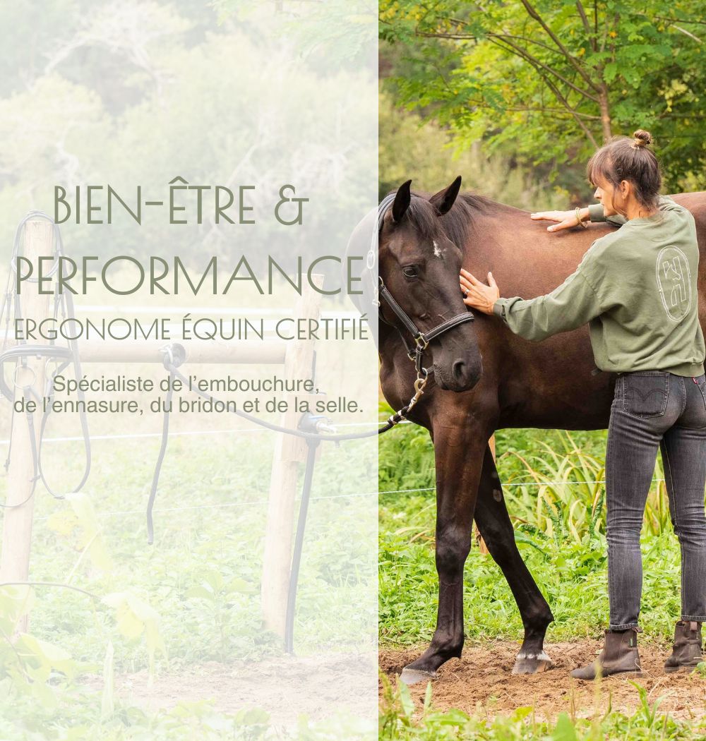 Bit fitting, bridle fitting, saddle fitting, érgonome équin certifié ergonomie équine Nouvelle Aquitaine sud ouest équitation performance bien être confort cheval ergonome filet bridon 1-mobile2