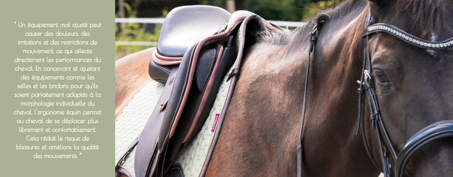 “ Un équipement mal ajusté peut causer des douleurs, des irritations et des restrictions de mouvement, ce qui affecte directement les performances du cheval. En concevant et ajustant des équipemen-2