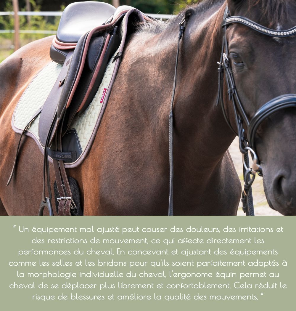 “ Un équipement mal ajusté peut causer des douleurs, des irritations et des restrictions de mouvement, ce qui affecte directement les performances du cheval. En concevant et ajustant des-mobile