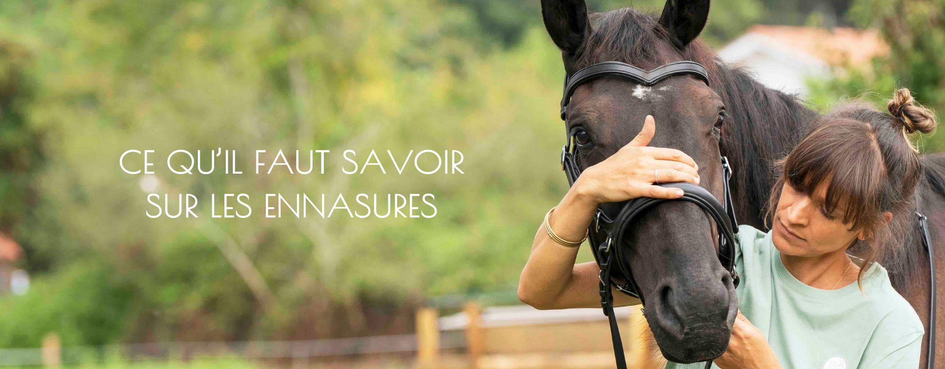 bridle fitting, bit fitting ergonomie équine Nouvelle Aquitaine sud ouest équitation performance bien être confort cheval ergonome filet bridon 2