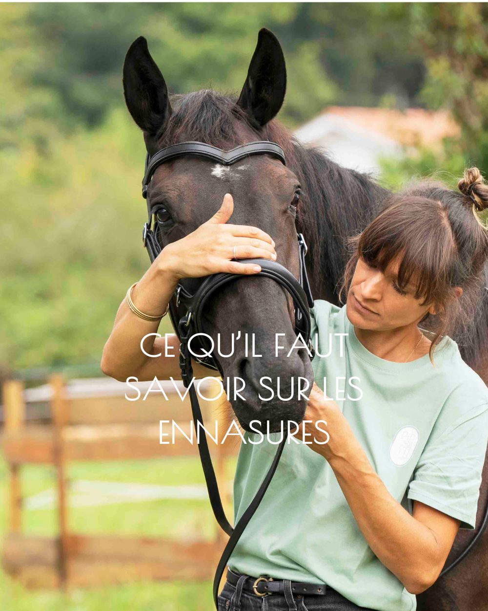 bridle fitting, bit fitting ergonomie équine Nouvelle Aquitaine sud ouest équitation performance bien être confort cheval ergonome filet bridon 2-mobile