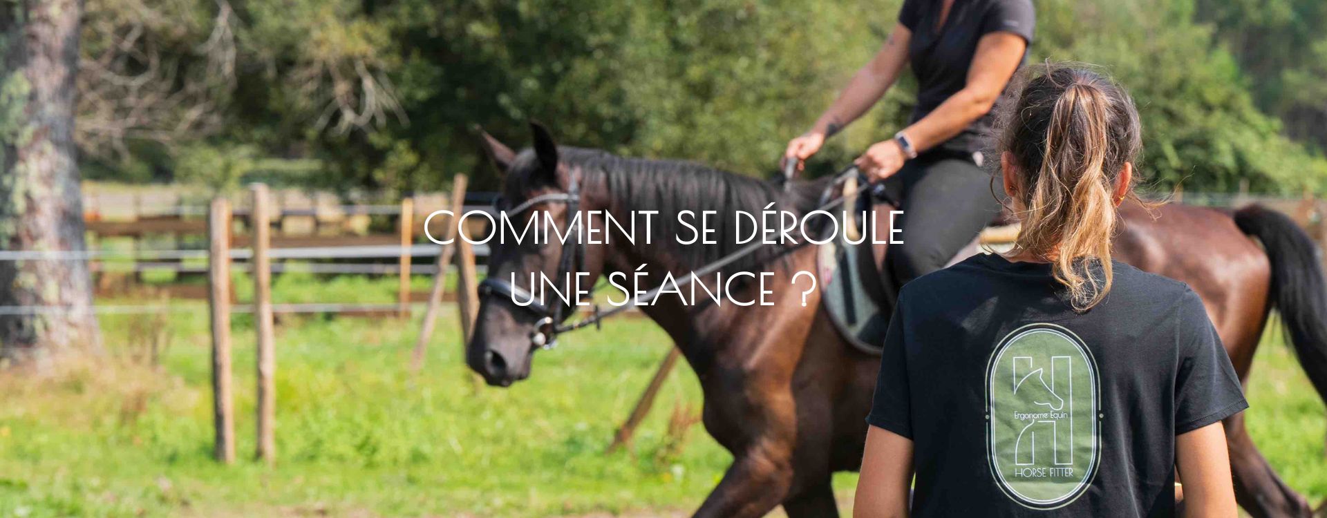 saddle fitting bridle fitting ergonomie équine Nouvelle Aquitaine sud ouest équitation performance bien être confort cheval ergonome selle 2
