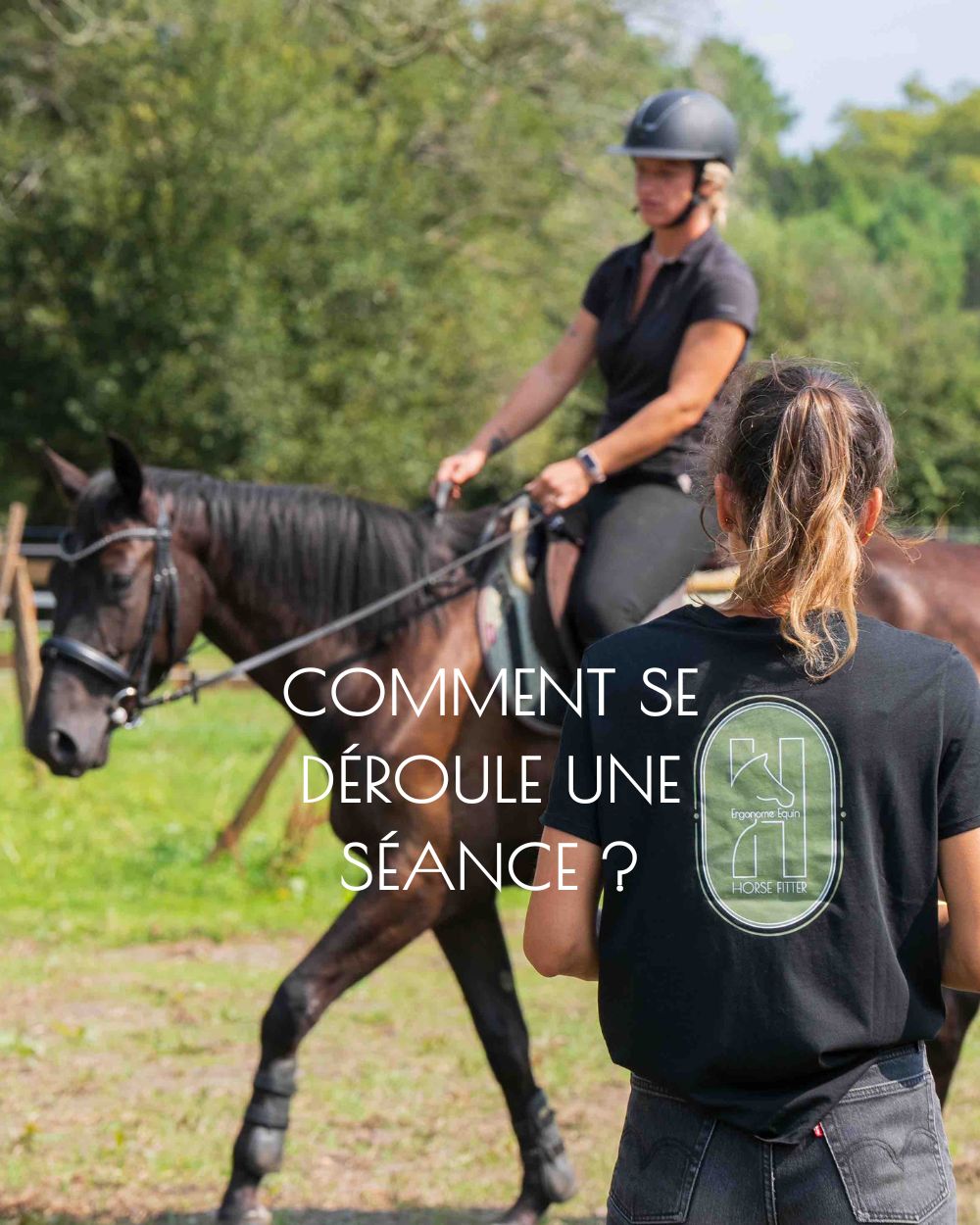 saddle fitting bridle fitting ergonomie équine Nouvelle Aquitaine sud ouest équitation performance bien être confort cheval ergonome selle 2-mobile